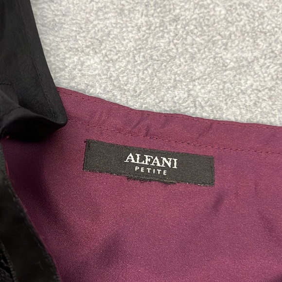 Y2K Whimsigoth Dark Fairy Dress Size 8 Petite Lace Gothic Grunge Vamp Cocktail - Picture 10 of 13